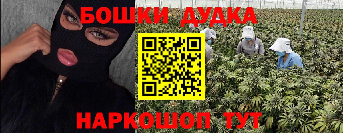 Нижневартовск  Марихуана Bruce Banner  Вход с VPN  Бошки Шишки тримм  Бошки Шишки конопля 